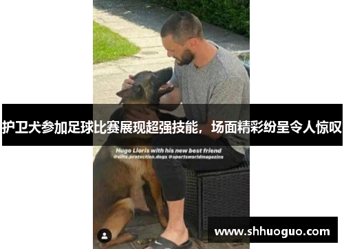 护卫犬参加足球比赛展现超强技能，场面精彩纷呈令人惊叹